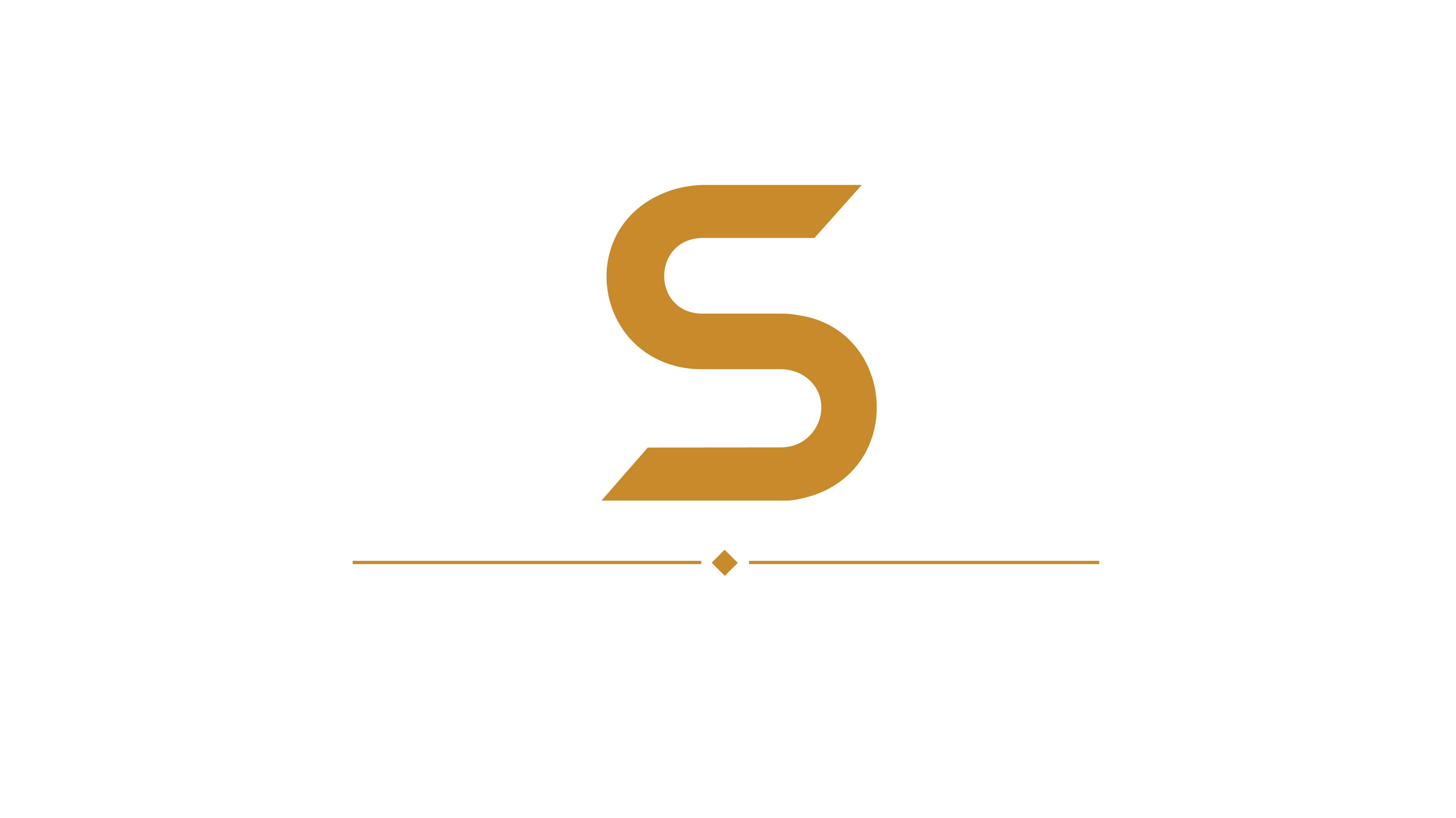 2S3 — Second Safety Third LLC